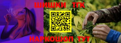 меф Гатчина
