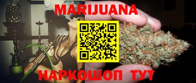 спайс Гай