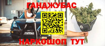 меф Гатчина