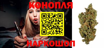 меф Гатчина