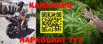 меф Гатчина