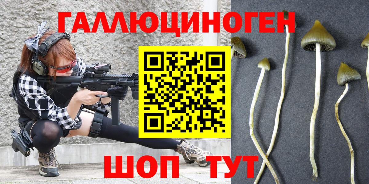 Псилоцибиновые грибы Psilocybine cubensis Югорск
