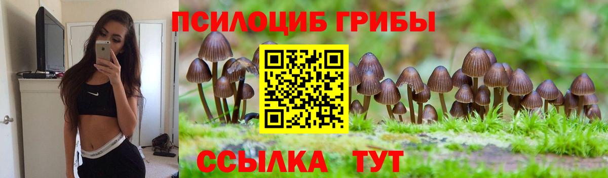 Югорск  Галлюциногенные грибы мухоморы  цена   Вход с VPN  Галлюциногенные грибы MAGIC MUSHROOMS 